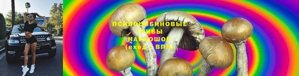 кристаллы Богданович